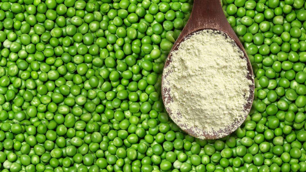 Where is the pea fiber extracted from？ Protein Fractionation